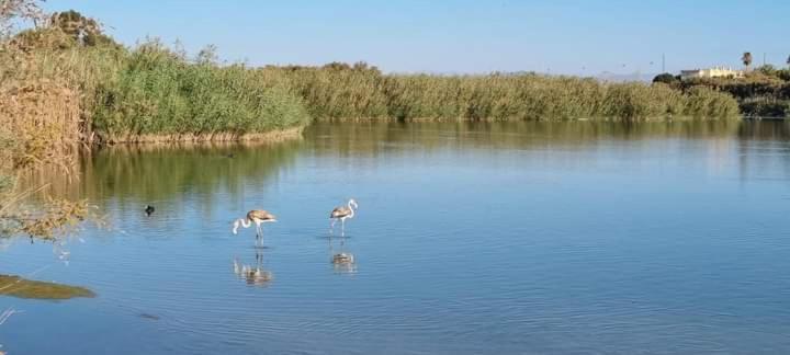 Appartamento Vera Natura Apartamento Laura Esterno foto